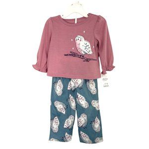 Girls 2 piece Owl Outfit  Just one You made by Carter's Size 18 months
